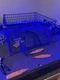 WWE Jakks Pacific WrestleMania 2 Cage Match Wrestling Ring 2005