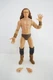 Jungle Boy AEW Unrivaled Series 5 Jazwares All Elite Wrestling Action Figure