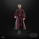Hasbro Padme Amidala - Star Wars the Black Series Action Figure