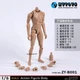 ZYTOYS  ZY-B001 1/6 Wheat Skin Narrow Shoulder Action Figure