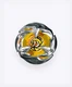Beyblade X Wyvern Gale 3-60T Bx-24 Random Booster Takara Tomy JPN Limited Editio