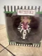 (1)  CULTUREFLY BEETLEJUICE 4.5" VINYL FIGURE  NEW FREE SHIPPING!!!