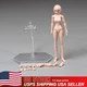 US 86TOYS 1/12 T86-ST02-A Pale Skin Medium Bust 6" Female Figure Head Body Model