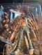 Chainsaw Man {Reze Arc} [Chainsaw Man The Movie: Reze Arc] (S.H. Figuarts) NEW