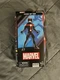 Hasbro Marvel Legends Series Future Ant-Man Action Figures 6"