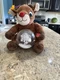 Rudolph the Red Nosed Reindeer Dan Dee Musical Lights Spinning Snow Globe Plush