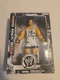Rob Van Dam RVD WWE WWF Jakks Pacific 2004 Wrestler Vintage Action Figure 