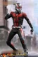 Hot Toys 1/6 MMS497 Ant-Man and the Wasp Ant-Man Action Figure New Toys In Stock