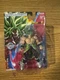 Bandai Dragon Ball Evolve: (2024) SUPER SAIYAN BROLY 5.5" Figure! #36273