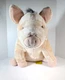 Vintage Equity Toys Real Live Talking Babe and Friends Pig Movie Plush 20"