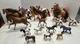 Dreamworks  Spirit Riding Free Toy Horse Lot 17 Sizes Colors Poses Some W/ Hair