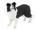 NEW PAPO 54008 Border Collie Dog 6.0cm farm animal - RETIRED NEW PAPO 54008 Border Collie Dog 6.0cm farm animal - RETIRED