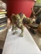 PAPO 38905 Ork Waghar Figurine - RETIRED New with Tags