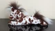 Douglas Duke Appaloosa Horse Brown Plush Toy Stuffed Animal 17" Pony Spotted 