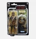 Star Wars: Return Of The Jedi The Black Series 40th Hasbro 2023 CHEWBACCA 4+ New