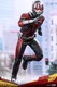 Hottoys Ht 1/6 Mms497 Ant-Man 3.0 Ant Man And The Wasp Action Figure New Toys
