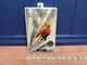 Diamond Select Toys The Rocketeer Action Figure VHS Box Walmart Exclusive NEW