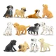 Toymany 12PCS Mini Dog Figurines Playset, Realistic Detailed 12 pcs, Dogs 