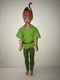 Mattel Disney 1968 Peter Pan 12 Inch Poseable Figure With Green Outfit 