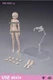US 86TOYS T86-ST01-A 1/12 Female Pale Joints Body &Head For 6" Action Figure Toy