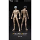 VTOYS&times;BMS 1/12 VB002/VB003 Skin Action Figure Body One