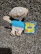 Tommy Rugrats Mini Beanbag Doll Plush Toy 90s Vintage Applause NEW With Tags