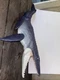 Mosasaurus Jurassic World Action Figure by Mattel
