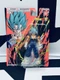 Bandai Dragon Ball Super Evolve Super Saiyan God Super Vegito Action Figure