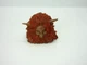 MOTUC,GWILDOR HEAD Piece,Masters Of The Universe Classics,Parts,Mattel,He man