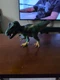 Schleich 14587 Tyrannosaurus Rex Movable Jaw T-Rex 2016 Green Dinosaur Figure