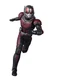 Bandai S.H.Figuarts Ant-Man Avengers Endgame Action Figure Japan
