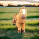 Dreamworks Spirit Untamed Riding Free SPIRIT 8" Plush Horse Stuffed Animal Plush