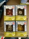 Bluey & Friends Muffin Socks Coco Lucky 4 Figure Moose Toys Box Lot Disney Set !