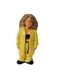 Homies Shop Toy Figure vinyl global lowrider Series 5 latina Huera trenchcoat og