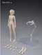 86TOYS T86-ST 1/12 ST01A Pale Skin Flexible 6" Female Joint Figure Head Body