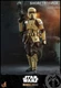 1/6 Scale Star Wars Shoretrooper TMS031 Figure Hot Toys 907515
