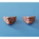Hot Toys Batman 1989 DX09 Replacement Mouth 1/6 Model Accessories