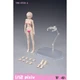 86TOYS T86-ST03-A 1/12 Scale Female Girl Half-seamless Body Pale Model In Stock