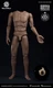 WorldBox AT020 1/6 Male Man Standard Muscle Figure Body 12inches