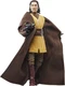Hasbro Collectibles - Star Wars: The Acolyte - Black Series - Jedi Master Sol [N