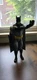 2015 DC Comics Batman Action Figure