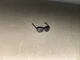 Hot Toys MMS774 Terminator 2 ~ 1/6 Scale T-1000 Police Sunglasses (LOOSE)
