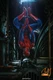 NEW Hot Toys MMS772B 1/6 The Amazing Spider-Man Deluxe Special Ver Action Figure