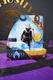 Spin Master DC Aquaman & The Lost Kingdom Black Manta 4" Action Figure