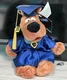 Vintage Warner Bros Scooby Doo Graduation Plush Stuffed Animal 2000 With Tag