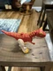 Mattel FMW89 Jurassic World Action Attack Carnotaurus Dinosaur Figure