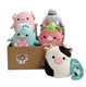 Squishmallows Mystery Box Plush 5 Pack -Mini Stuffed Animal Toy Plush 5 Inch