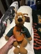 Scooby Doo Miami Hurricanes Stuffed Animal 
