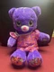 Build a Bear BAB Limited Edition Shopkins Pretty Purple Plush Bear Clothes