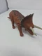Jurassic World Park Roarivores Triceratops Figure Brown Dinosaur Mattel 2017